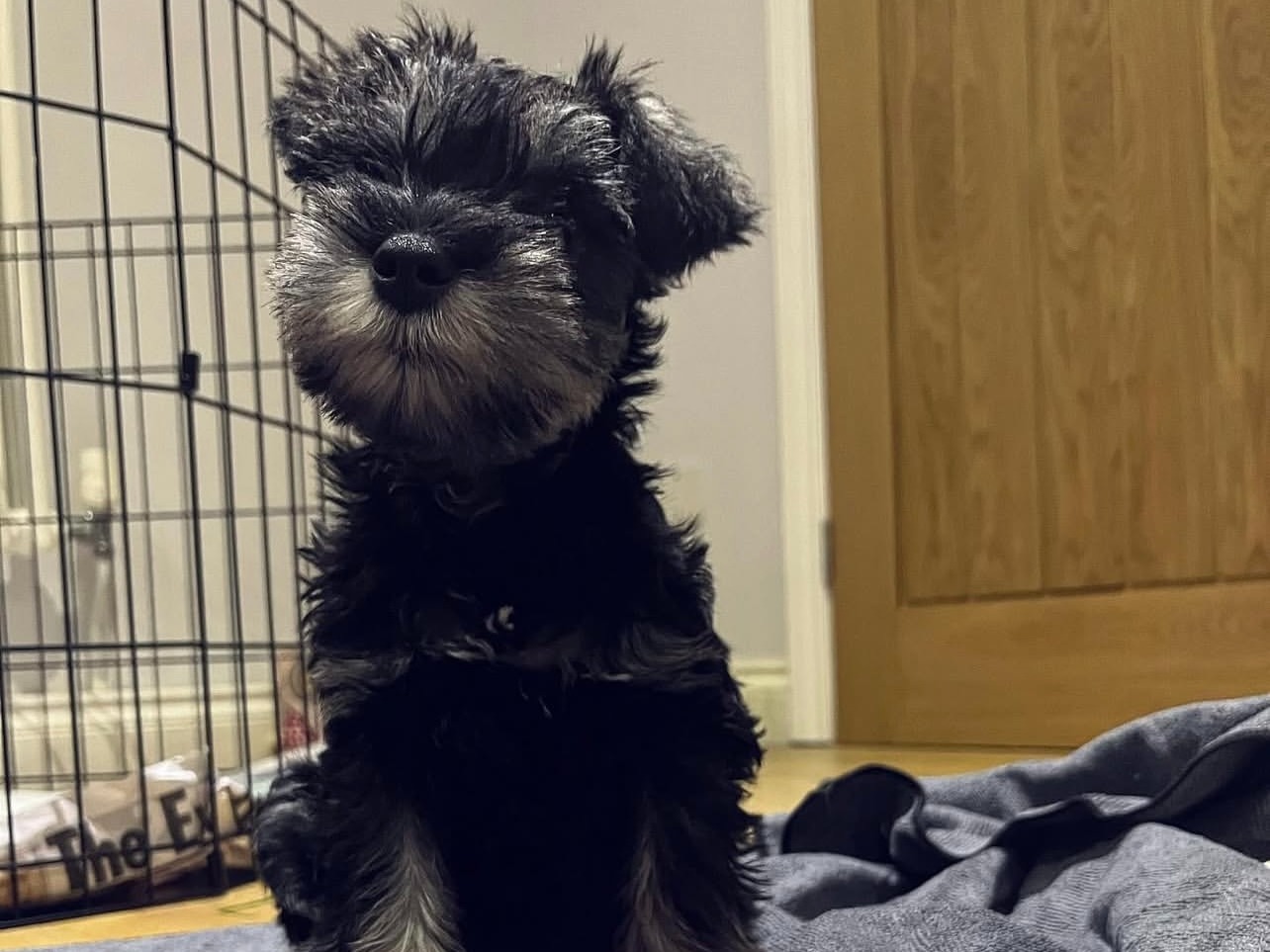PEPPER